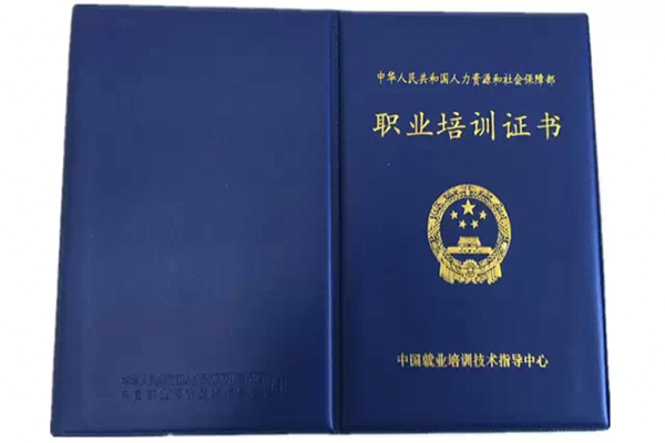 河南统招专升本培训